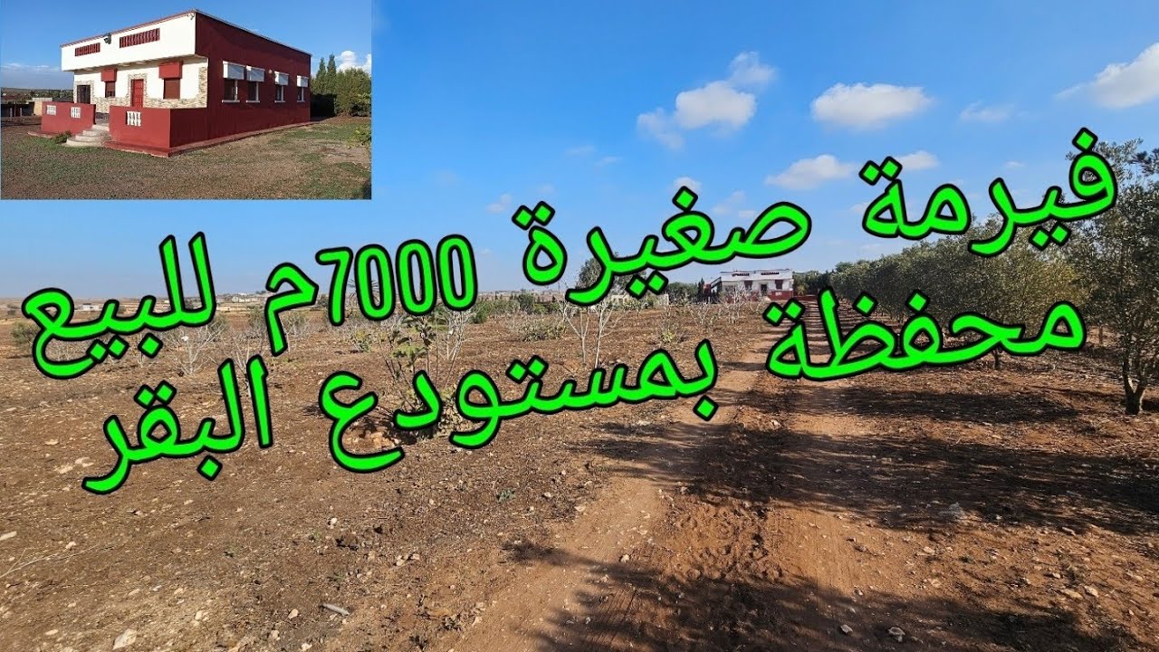 فيرمة صغيرة للبيع  محفظة مع منزل 150م واسطبلات البقر والغنم بثمن رائع