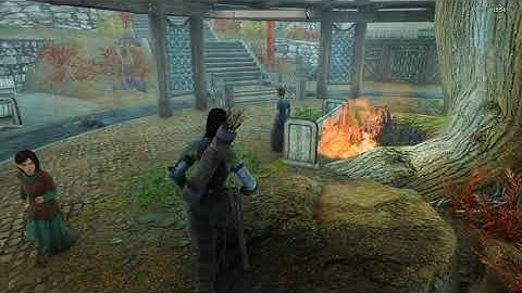 Skyrim SE - Lightning Strike Almost Sets Kid On Fire
