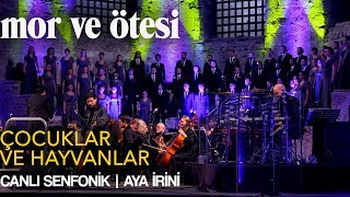 mor ve ötesi - 'Çocuklar ve Hayvanlar' (Canlı Senfonik - Aya İrini) |  Resimi