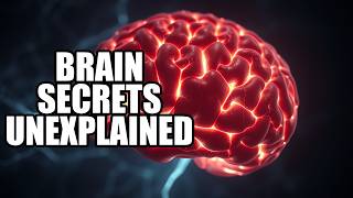 Information Unlocking the Human Brain: Secrets That Science Can't Explain News
