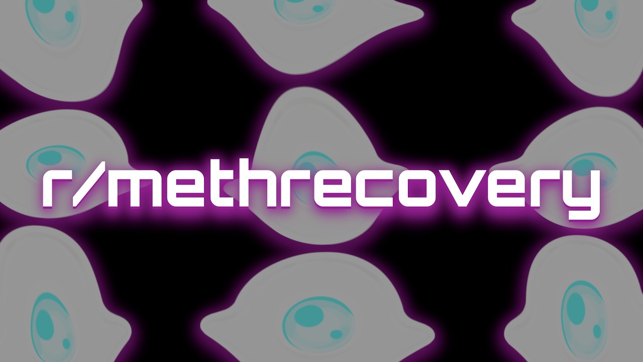 The Wonderful World of r/methrecovery