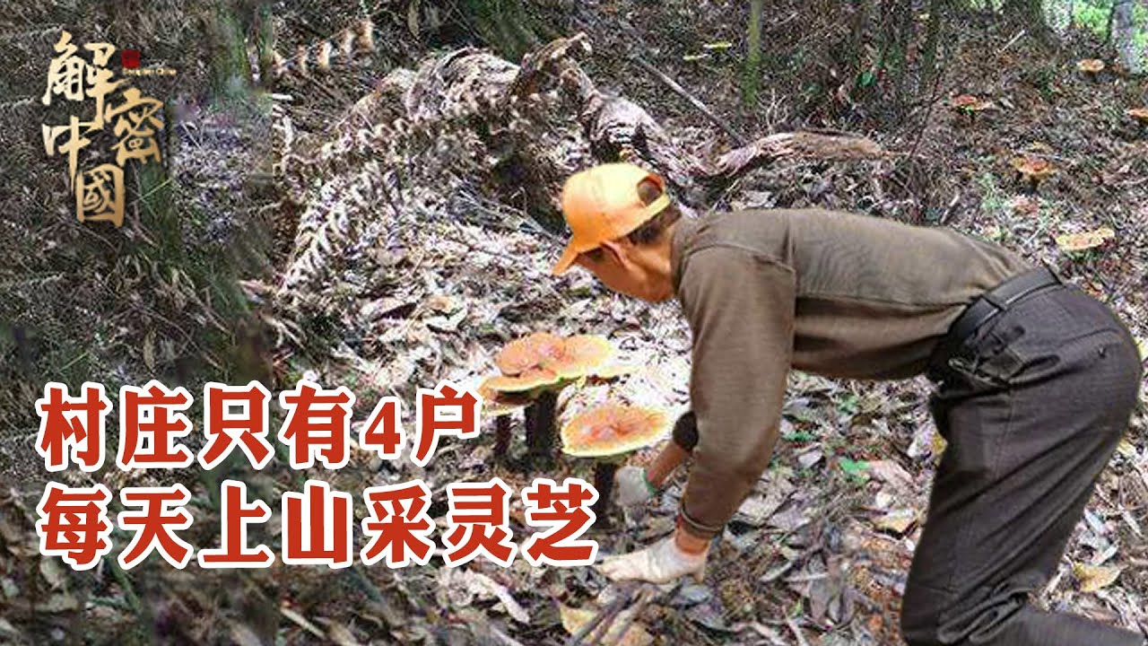 亚洲峡谷东岸的一个小山村，村民在这里居住了1700年，还保留着古老的生活方式，仿佛桃源！【秘境探秘】