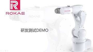 Rokae DEMO