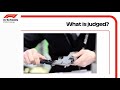 Specification & Scrutineering Judging