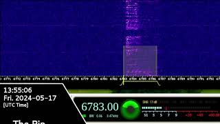 The Pip | 6783kHz Additional freq. | Voice Message | 2024.05.17