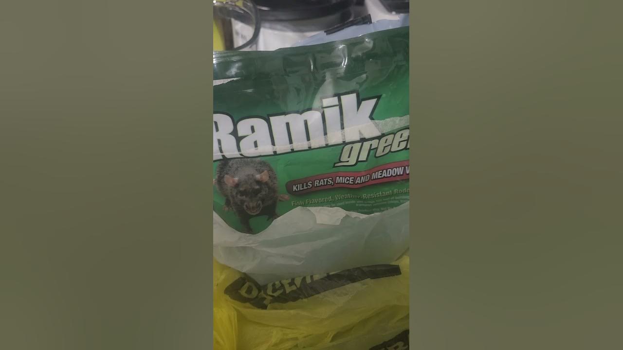 Ramik green rat poison review YouTube