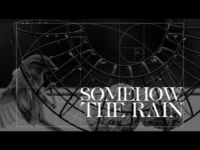 Watch Da Vinci Notes - NIAREHTWOHEMOS - (Somehow The Rain Lyric Video) on YouTube Watch Da Vinci Notes - NIAREHTWOHEMOS - (Somehow The Rain Lyric Video) on YouTube