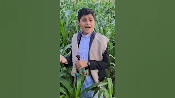 صلاة الله على من صدره بنور مشروح اداء ســـــــــــياف الخالد اكسبلور اكسبلور متابعه 