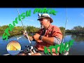 Spanish Mack Attack (Spruce Creek; Spanish Mackerel and Jack Crevalle)