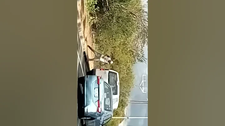 Father's Day drunk drivers