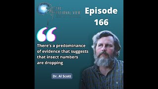 Are we facing insect armageddon?