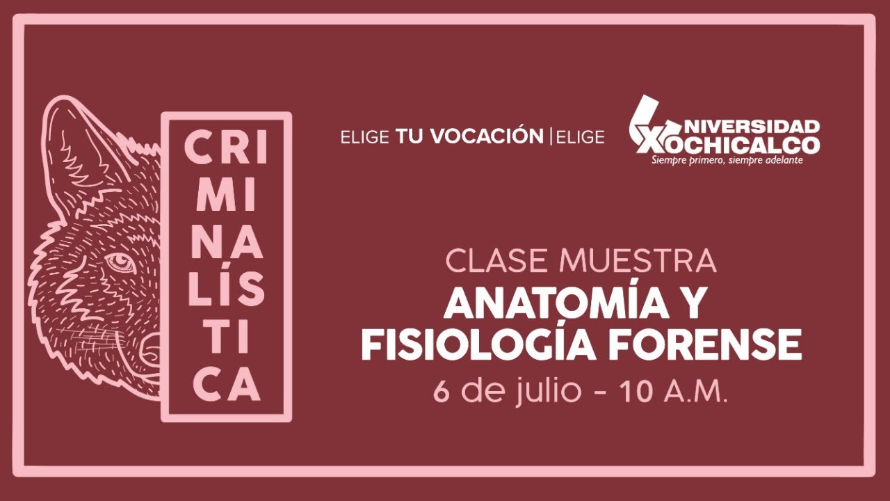 Clase Muestra: 'Anatomía y Fisiología Forense'