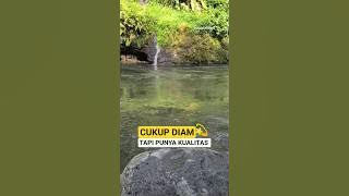 QUITE SILENT BUT WITH QUALITY 🌟 #motivation #wisewords #lifemotivation #ournotes