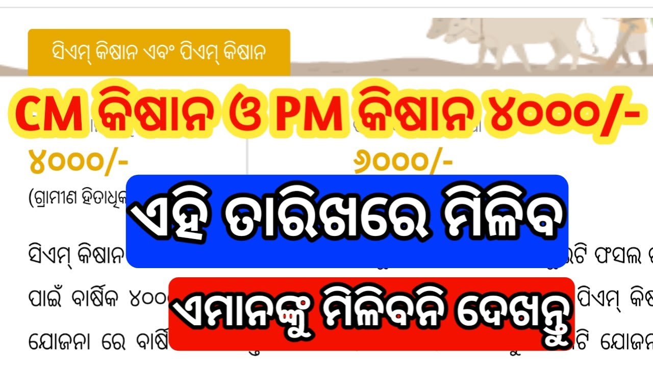 pm kisan and cm kisan yojana new update odisha 2026 | cm kisan and pm kisan big update odia 2026