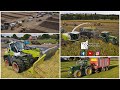 Maize 2022 silage  cruckton ploughing match