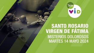 Santo Rosario de hoy Martes 14 Mayo de 2024  Misterios Dolorosos #TeleVID #SantoRosario