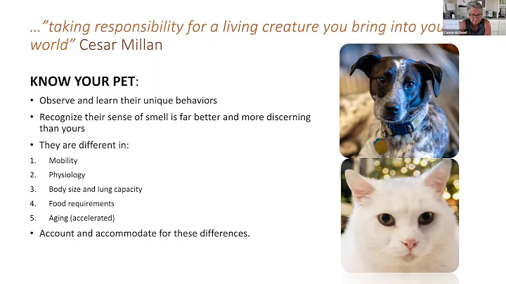 Essential Oils & Household Pet