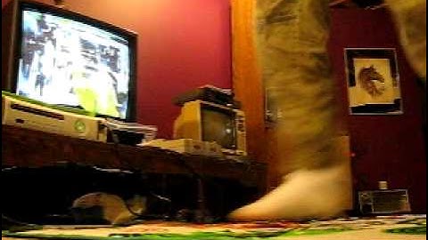 DDR Universe - Slam [Expert]