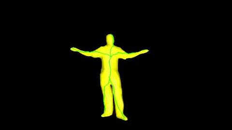 Invariant Surface-Based Shape Descriptor for Dynamic Surface Encoding (ACCV 2012)
