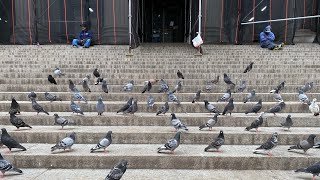 NYC LIVE Exploring Midtown Manhattan (May 10, 2021)