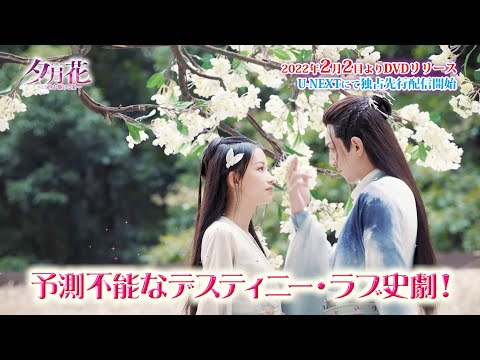 夕月花（せきげつか）～三世を駆ける愛～ - YouTube