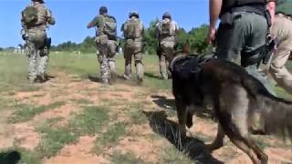 BSO SKIDDS Training 2018