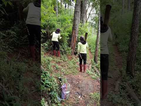 Cinta Itu Musingkeun  Dubbing Sunda Lucu