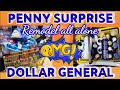 Penny surprise  remodel alone  dollar general 22524