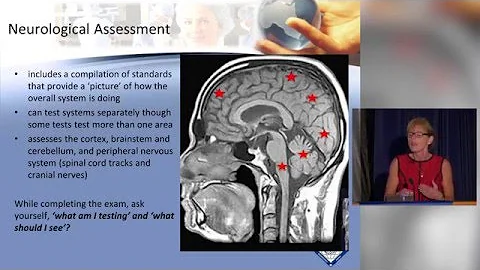 Neurological Assessment