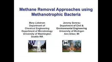 Methane Removal Approaches Using Methanotrophic Bacteria