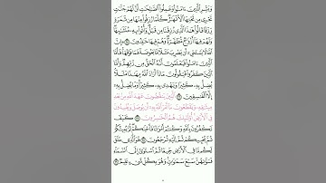 سورة البقرة من آية ٢٥ - ٢٩ صفحة ٥ / ابراهيم الاخضر  ( مكرره ٢ ).