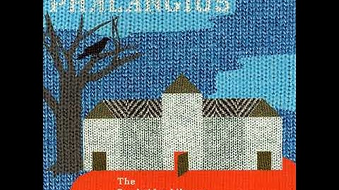 Phalangius – Infocom Nights