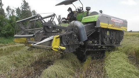 máy cắt trung quốc 100F cắt lúa nhật rất lẹ tập36 #maibangtv