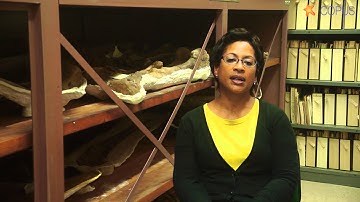 COPUS x UCMP Take 4 1