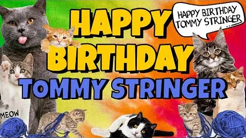 Happy Birthday Tommy Stringer! Crazy Cats Say Happ...