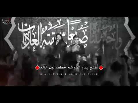 طلع بدر الهواشم ملا مسلم الوائلي ستوريات 