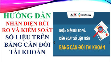HƯỚNG DẪN NHẬN DIỆN RỦI RO VÀ KIỂM SOÁT SỐ LIỆU TRÊN BẢNG CÂN ĐỐI TÀI KHOẢN-  0982609092
