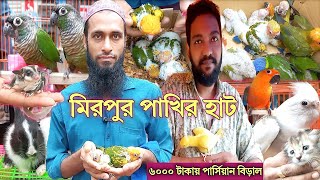 ৬০০০ টাকায় পার্সিয়ান বিড়াল | স্পেশাল অফারে বিভিন্ন পাখি | মিরপুর ১ পাখির হাট | Mirpur 1 Bird Market