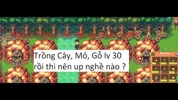 PIXEL - Hướng dẫn chơi game pixel cho người mới. Tôi đã Nạp 3 triệu coin để up level nghề.