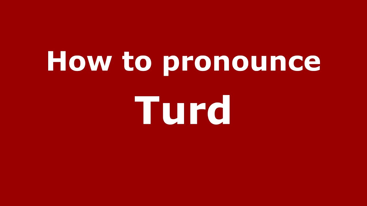 TURD? Qual é o significado e a pronúncia de TURD?