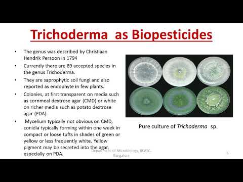 Fungal biopesticides- Trichoderma, Beauveria bassiana