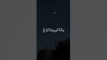 #قران_كريم #اجر_لي_ولكم #اكسبلور #سورة_النور #محمد_اللحيدان