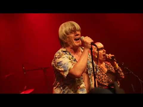 Loulou LAVIOK   Faits comme des rats - Album "TULAVIOK IS ALIVE" (sortie le 21 février 2024)