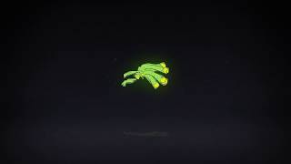 ANUBIS LUCIO BACKWARD ROLLOUT