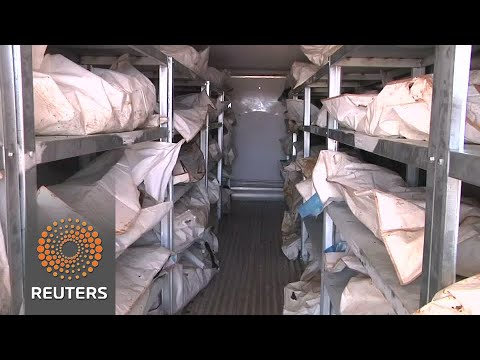 Hundreds of ISS militant corpses await repatriation from Libya - Hundreds of ISS militant corpses await repatriation from Libya