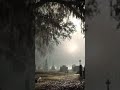 Graveyard Train, featured on CCR's 4/20 Jams compilation