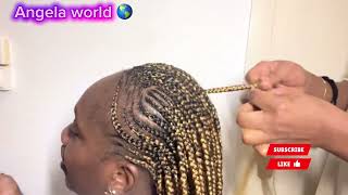 Two step braid on a natural hair