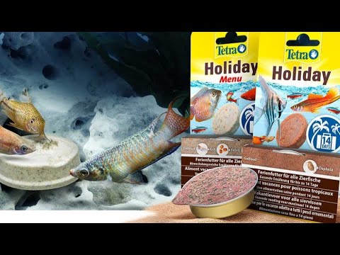 Tienda De Comida Navideña Para Peces Ornamentales 30g