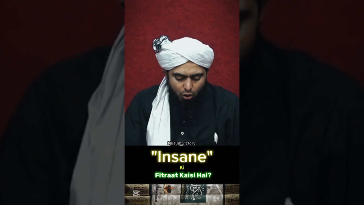 🧏‍♂️Insane Ki Forest Kaisi hai! 