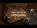 My Chocolate experience